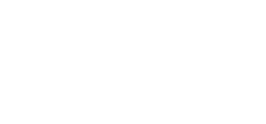 Vice Logo blanc transparent